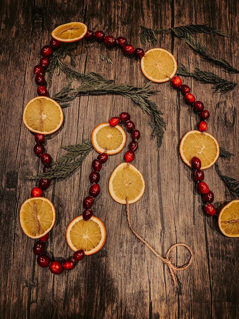 Dried Orange Garland