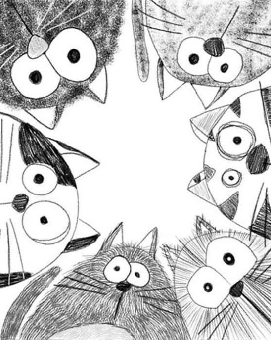 curious cats drawing